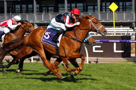 Dalasan Settling in at Victoria’s Riverbank Farm