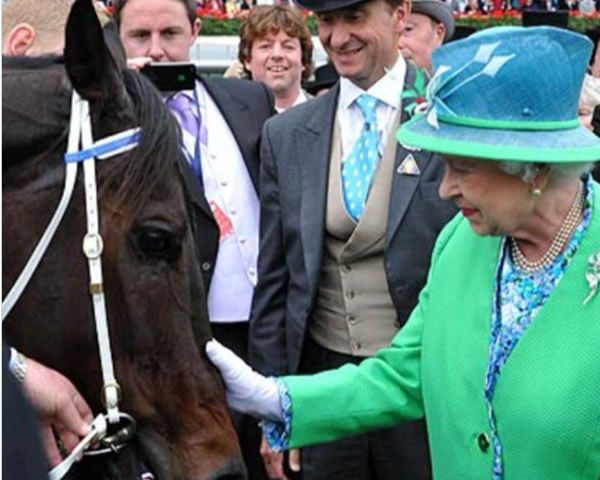 Black Caviar Strikes for the First Time as a Grand-Dam