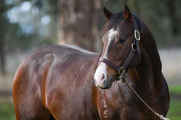 Riverbank's Attachment to Prince of Caviar