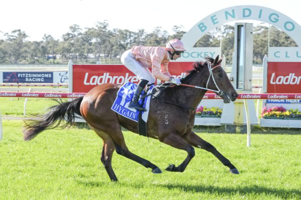 One to Watch – Bendigo – Good Week for the Black Caviar Family
